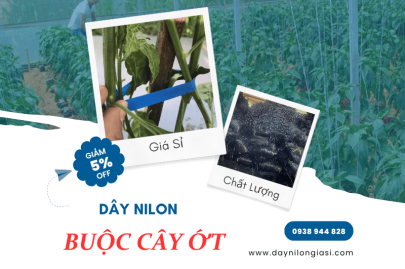 Sản xuất dây nilon buộc cây ớt