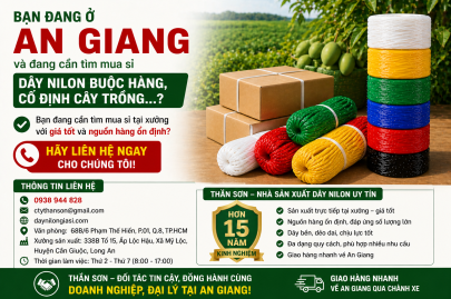 Bán sỉ dây nilon ( cuộn, bó ) buộc hàng tại An Giang