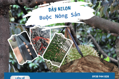 Sản xuất dây nilon buộc nông sản