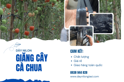 Sản xuất dây nilon giăng cây cà chua